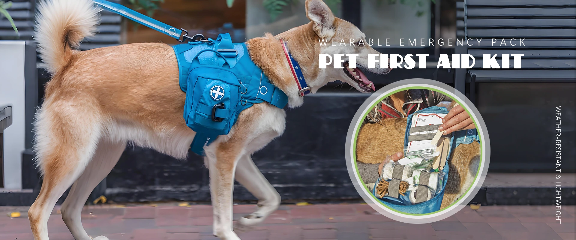 Fabricante del kit de primeros auxilios de mascotas