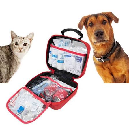 El mejor compañero de viaje: por qué nuestra bolsa transportadora para mascotas de EVA cambia las reglas del juego para los padres de mascotas